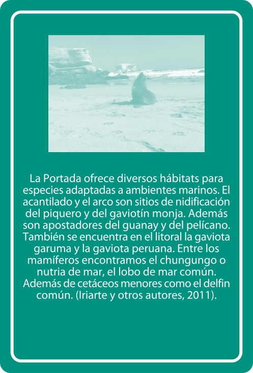 Portada Reverso
